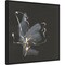 Modern Flower III by Chris Paschke 22-in. W x 22-in. H. Canvas Wall Art Print Framed in Black